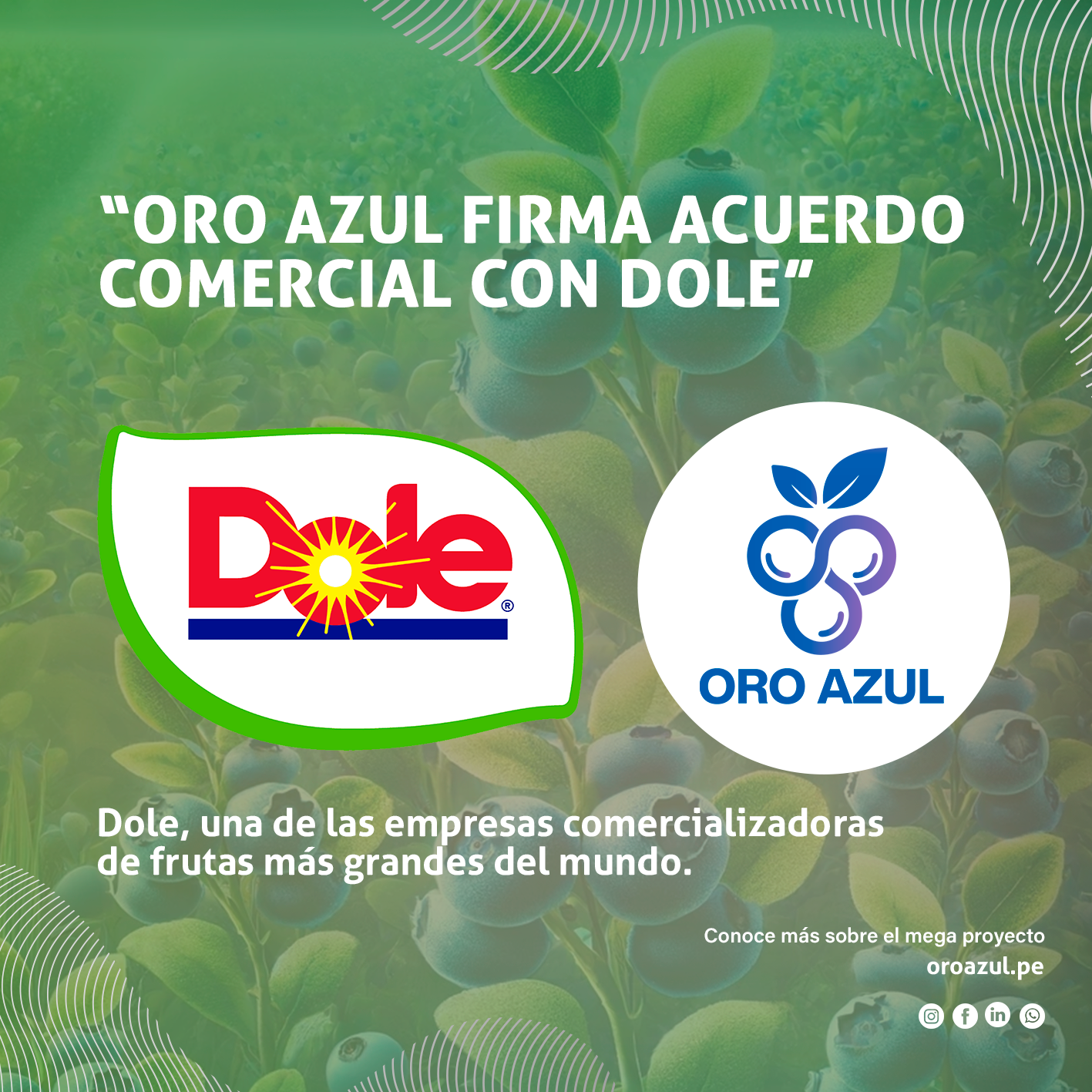 OroAzul.18.06